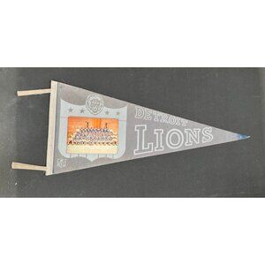 Vintage 1963 Pennant NFL Detroit Lions Team Picture With Names On The Back Felt